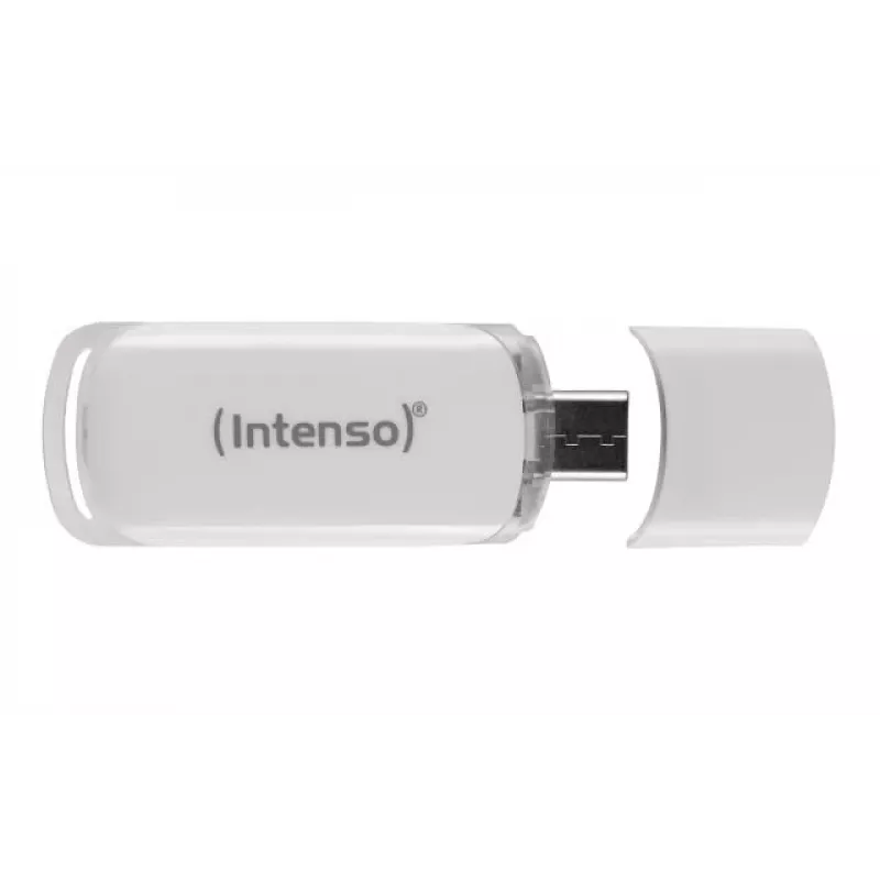 Intenso 128GB USB 3.1 Gen 1 Type-C atmintukas (OTG) 3538491