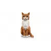 LEGO IDEAS 21376 Oranžinė katė