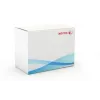 Xerox Transfer Roller, WorkCentre 7525/7530/7535/7545/7556, 1 vnt.