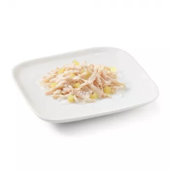 SCHESIR vištiena su ananasu želėje - šlapias šunų maistas - 150g