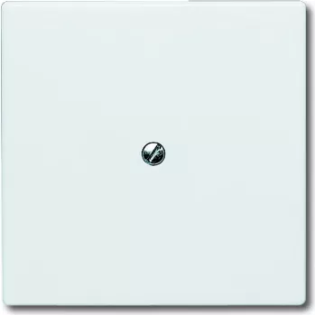 BUSCH JAEGER 2138-32 jungiklis baltas IP44 71x71 mm 1,3 cm