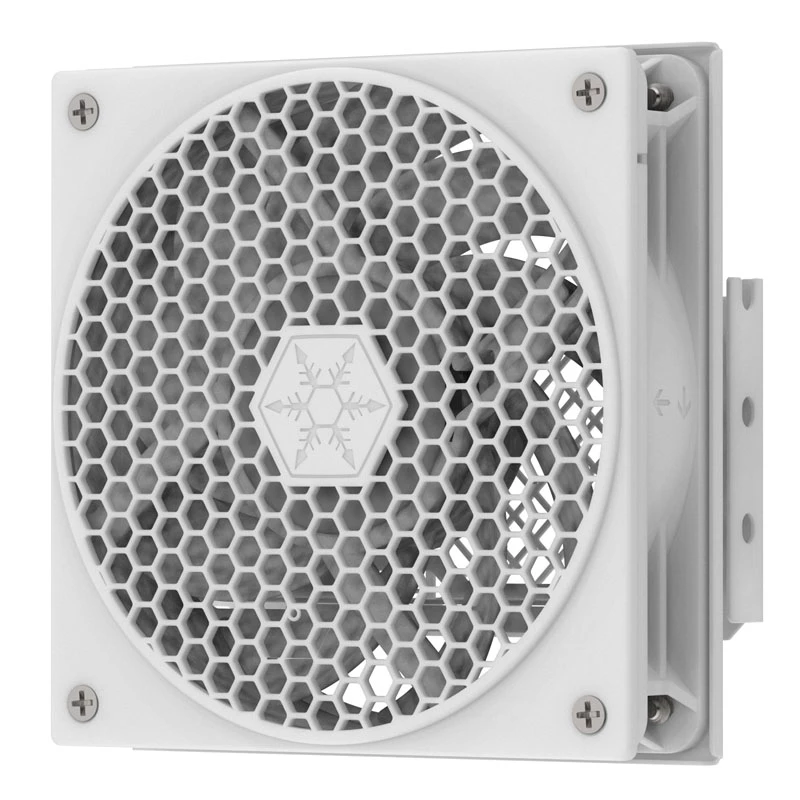 Laikiklis SilverStone SST-FDP02W