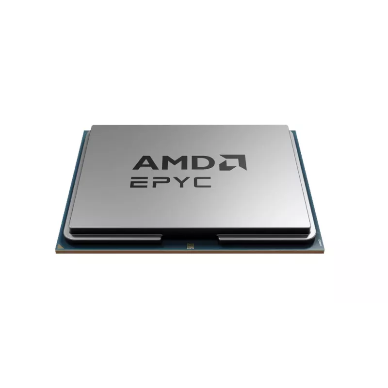 Procesorius AMD EPYC 8324PN 2,05 GHz 128 MB L3 lizdas SP6