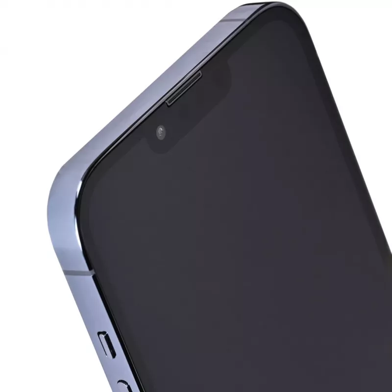 Apple iPhone 13 Pro Max 6,7 col. Dual SIM iOS 15 5G 256 GB Mėlyna Atnaujintas