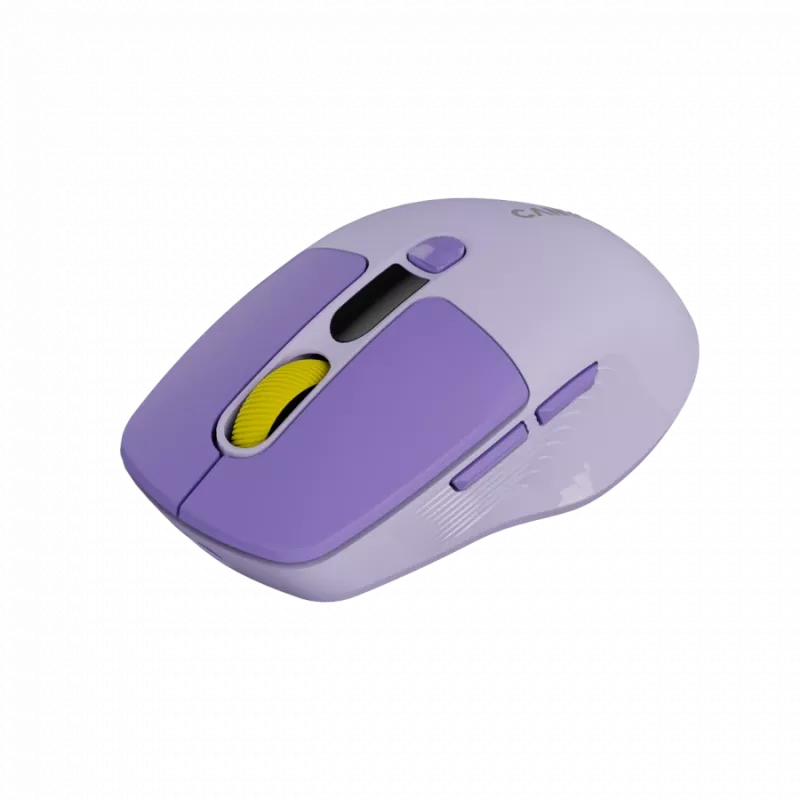 Belaidė pelė CANYON MW-26 LCD Silent Dual Mode Wireless