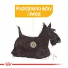 ROYAL CANIN Mini Dermacomfort - sausas ėdalas suaugusiems mažų veislių šunims su jautria oda, linkusia į dirginimą - 3kg