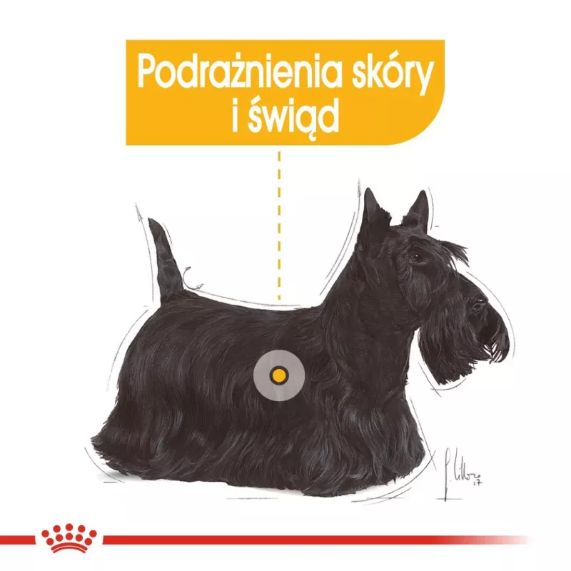 ROYAL CANIN Mini Dermacomfort - sausas ėdalas suaugusiems mažų veislių šunims su jautria oda, linkusia į dirginimą - 3kg