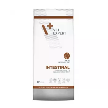 VET EXPERT Veterinary Diet Intestinal Dog sausas šunų ėdalas 12 kg