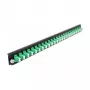 Priekinis skydelis Splice Box DeLOCK 19 colių 24 prievadų LC Duplex žalias