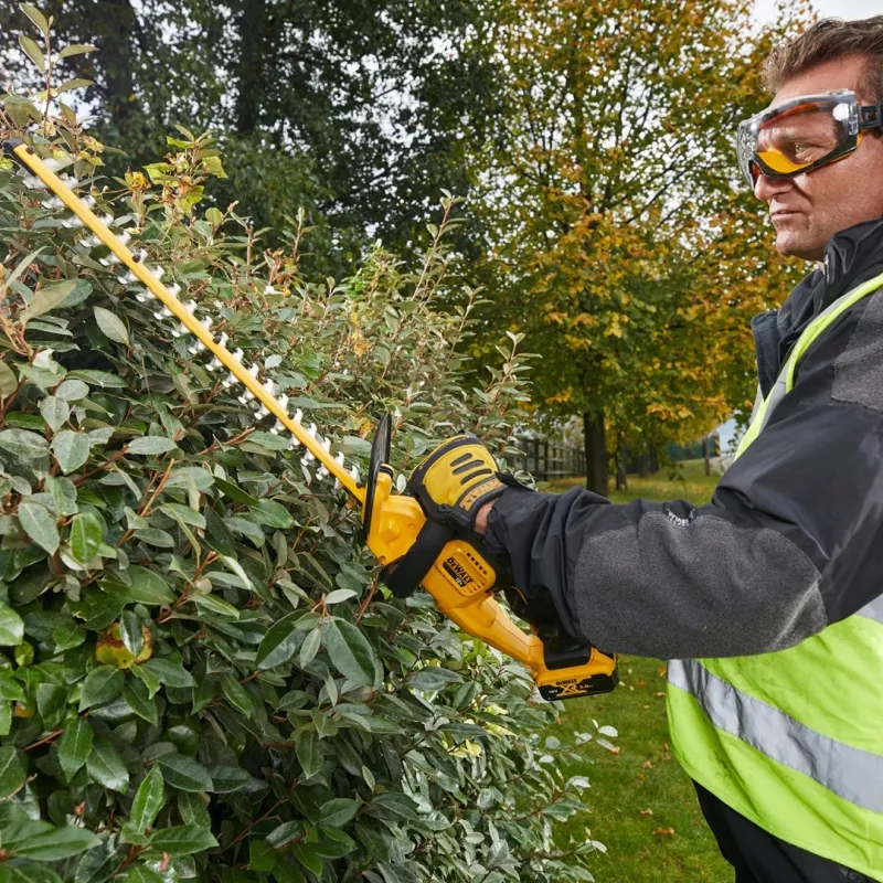 Belaidis gyvatvorių žirklių komplektas DeWALT DCM563P1-QW