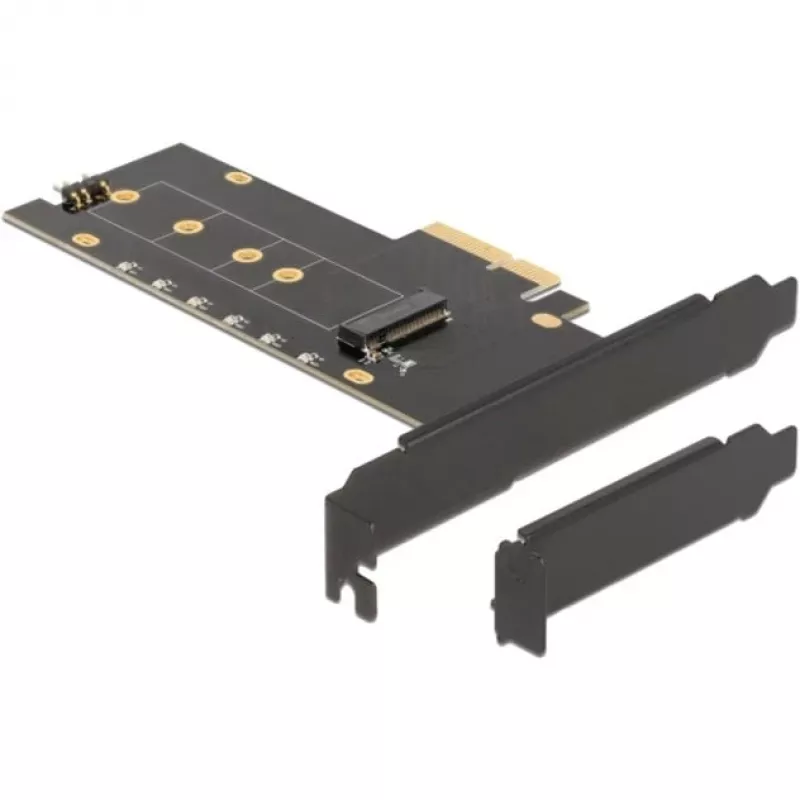 DeLOCK 89013 Vidinė M.2 PCIe sąsajos plokštė, Low-profile