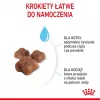 Sausas kačių ėdalas Royal Canin Mother & Babycat 4 kg – paukštiena, baltymai 34%, riebalai 25%, nėščioms, žindančioms katėms ir kačiukams