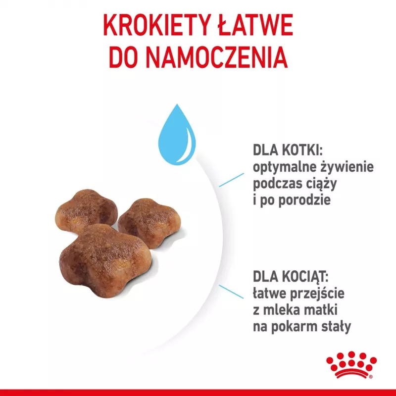 Sausas kačių ėdalas Royal Canin Mother & Babycat 4 kg – paukštiena, baltymai 34%, riebalai 25%, nėščioms, žindančioms katėms ir kačiukams