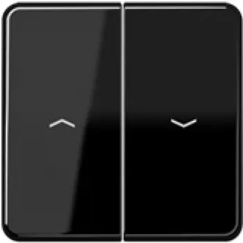 Jung CD 595 P SW (CD595PSW) jungiklis