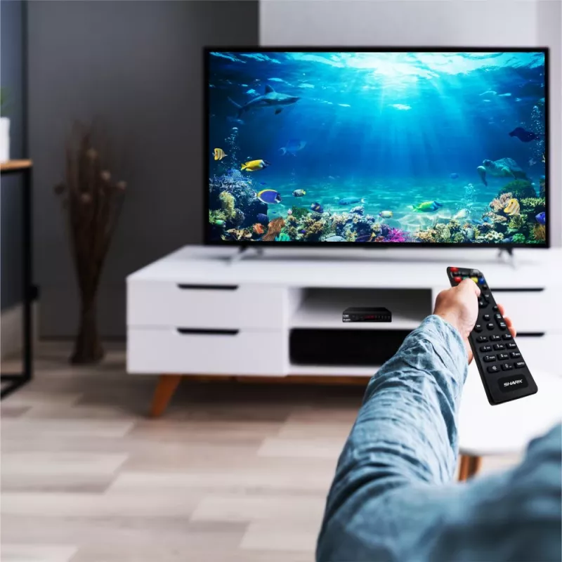 Skaitmeninis TV imtuvas Manta DVBT005-SH DVB-T/T2 su HEVC palaikymu