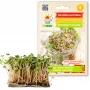Daigintų ridikėlių sėklos China Rose, 20g pakuotė