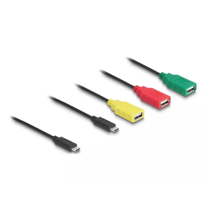 DeLOCK 4 prievadų USB 2.0 kabelinis šakotuvas USB Type-C į 3× USB-A moteriška + 1× USB-C vyriška
