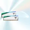Patriot Viper Elite 5 RGB 48 GB (2x 24 GB) DDR5-6000 MHz atminties rinkinys, baltas, PVER548G60C42KW