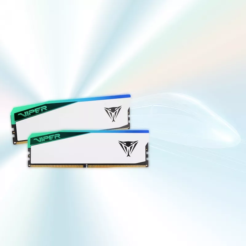 Patriot Viper Elite 5 RGB 48 GB (2x 24 GB) DDR5-6000 MHz atminties rinkinys, baltas, PVER548G60C42KW