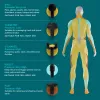 Percusinis masažinis pistoletas HoMedics PGM-150-EU – nešiojamas perkusinės terapijos prietaisas