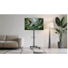 Gembird TV grindinis stovas su ratukais (pakreipiamas) 32–55 col., VESA 100x100–400x400, maks. apkrova 30 kg, juodas