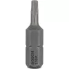 Bosch antgalis atsuktuvui Extra Hard, 3 vnt., Torx, T10, plienas, 25 mm