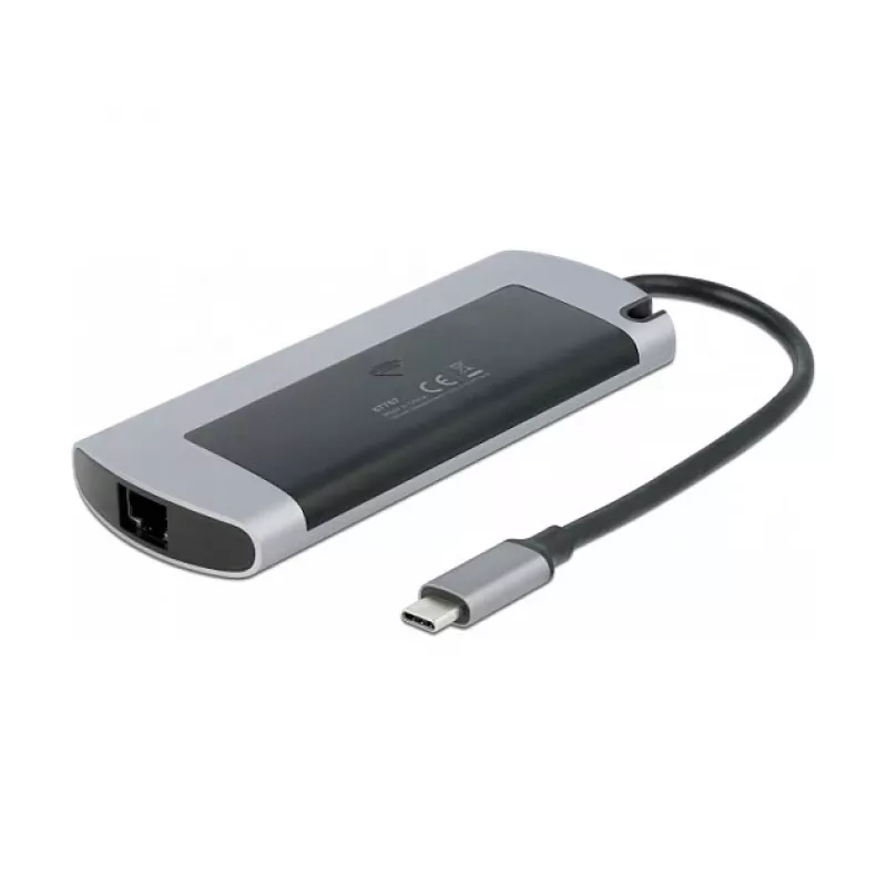 Docking stotelė DeLOCK USB Type-C su M.2 lizdu