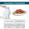 Purina GRMT PERLE GIGMV BEEF CRT šlapias maistas katėms 85 g