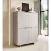 Cama 4D komoda ALMA 100x41.5xH145 kašmyro