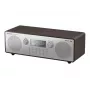 Radijo imtuvas / grotuvas RF-D100BTEGT Panasonic