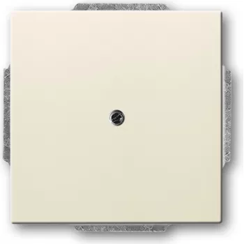 BUSCH JAEGER 1742-82 – Baltas metalinis blizgus jungiklio rėmelis 63×63 mm