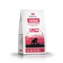 PUPIL Premium Junior Large and extra large breeds Rich in beef - sausas šunų ėdalas - 12 kg