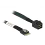 DeLOCK SAS kabelis 85081 0,5 m Slim SAS SFF-8654 – Mini SAS HD SFF-8643