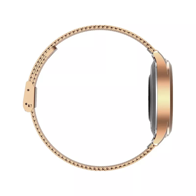 Išmanusis laikrodis MaxCom FW42 GOLD Gold