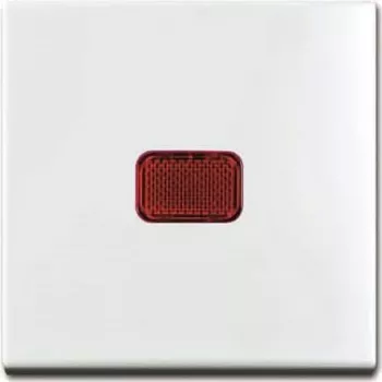 Dangtelis sieninis Busch‑Jaeger 2509‑914, baltas, termoplastikas, bevaržtis, 55×55 mm, 20 mm storio