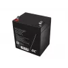 Green Cell AGM45 UPS baterija sandarus švino rūgšties (VRLA) 12 V 5,3 Ah