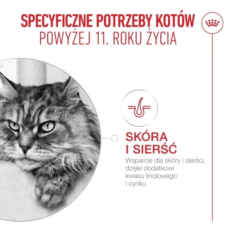 Sausas kačių ėdalas Royal Canin FHN Ageing 11+ 2 kg – paukštiena, 30% baltymų, sąnarių ir inkstų palaikymas