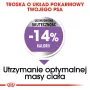 Sausas šunų ėdalas Royal Canin Mini Sterilised Care — 3 kg, vištiena, sterilizuotoms mažoms veislėms (5–10 kg), suaugusiems, 30% baltymų