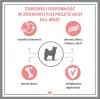PUPIL Premium All Meat Gold Duck šlapias šunų ėdalas – 800 g
