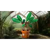LEGO Harry Potter 76433 Mandragora