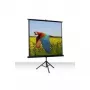 Celexon Economy 1:1 Tripod Screen 184 x 184 (1090016)
