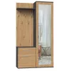 Spintelė prieškambariui Top e shop GARD DUO ANT/ART KPL — 2 varstomos durys, medžio drožlių plokštė, 1000×350×1800 mm