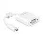 USB grafikos adapteris DeLOCK 65557 1920 x 1080 pikseliai Baltas