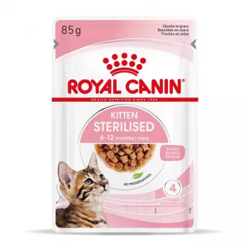 Šlapias kačių ėdalas Royal Canin Sterilised Gravy, 12 x 85 g pakeliai – vištiena, sterilizuotiems kačiukams, 11% baltymų, 80,5% drėgmės