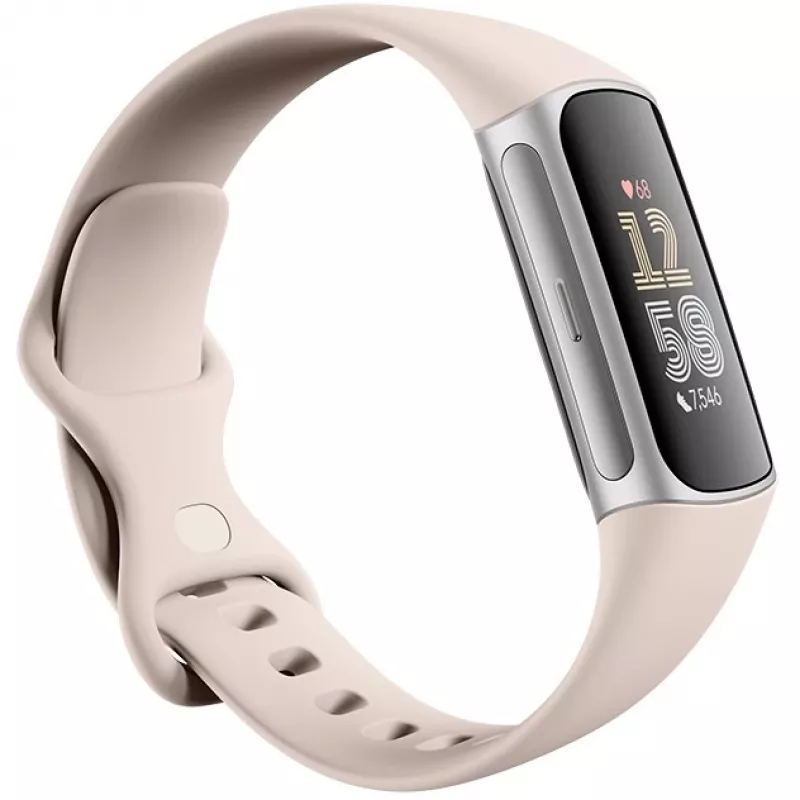 Fitbit GA05185-EU Sidabrinė