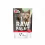 VetExpert Raw Paleo Adult Cat Sterilised konservuotas kačių maistas su jautiena, 100 g