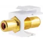 Tinklo adapterio Keystone jungtis Cinch lizdas - S/CONN 08-10061