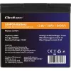 LiFePO4 akumuliatorius QOLTEC 12.8V 50Ah (model 53704) atsarginiam maitinimui ir energijos kaupimui