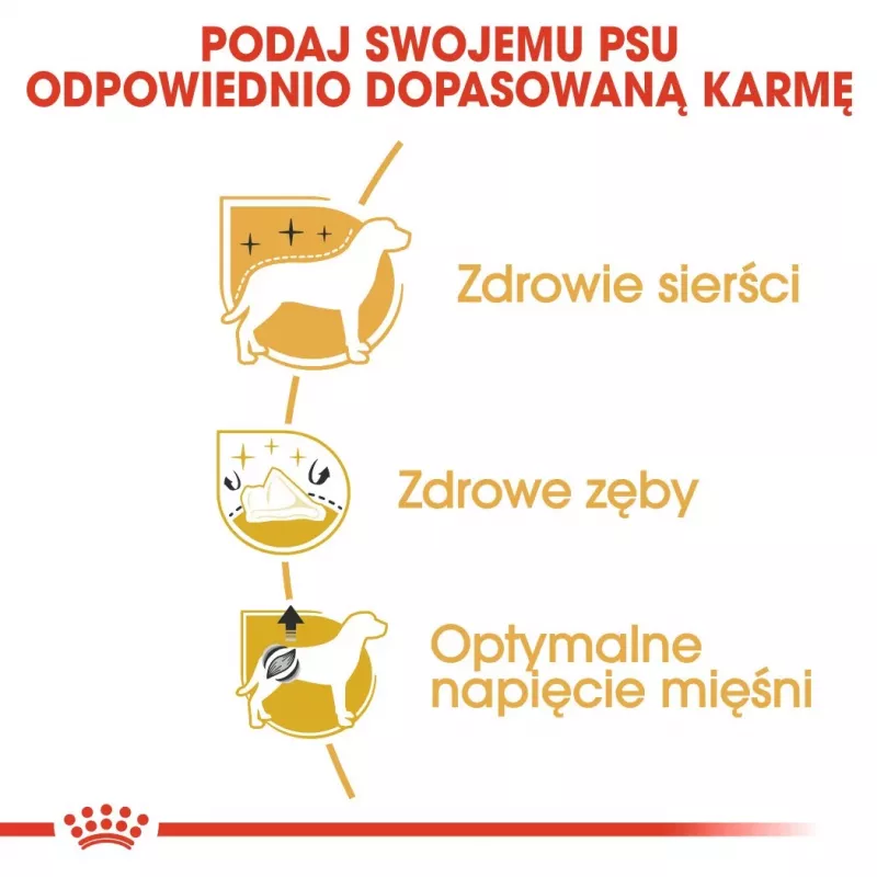 Royal Canin Poodle Adult šunų maistas, 1,5 kg