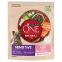 Sausas šunų maistas Purina Nestlé One Mini/Small Sensitive Salmon & Rice 800 g – mažoms veislėms (5–10 kg), senjorams, 27% baltymų, 17% riebalų